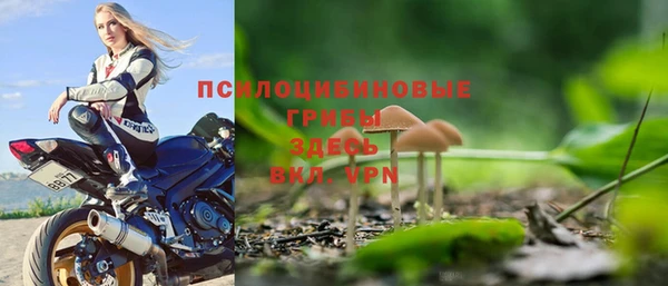 шишки Алзамай