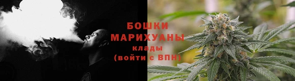 шишки Алзамай