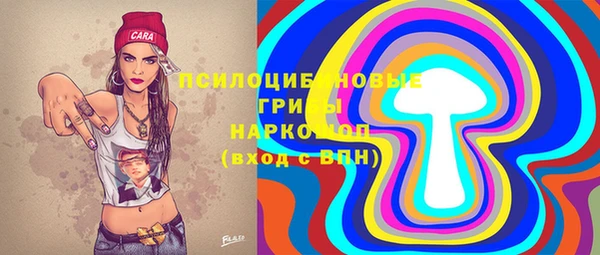 шишки Алзамай