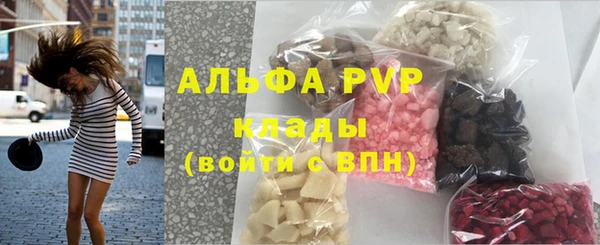 шишки Алзамай
