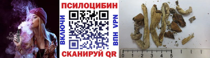 mega ССЫЛКА  Лесосибирск  Псилоцибиновые грибы Psilocybe 