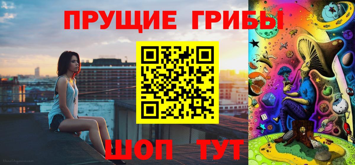 Псилоцибиновые грибы Psilocybe Лесосибирск