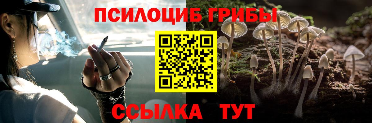 Галлюциногенные грибы Cubensis  Вход с VPN  продажа наркотиков  Лесосибирск 